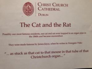 cat-and-rat-story