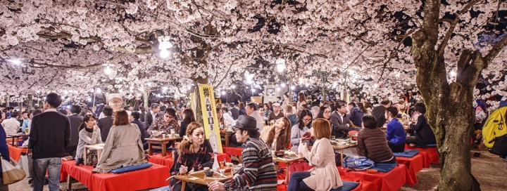 Primavera-Japon