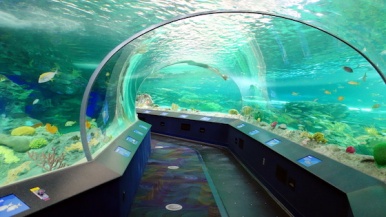 Aquarium-Ripley-Canada.jpg